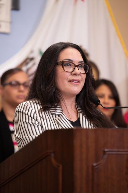 Women’s Incarceration Press Conference